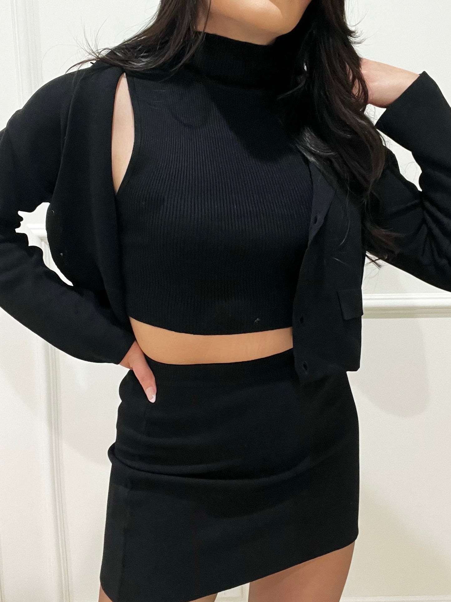 Turtle Neck Sweater Crop